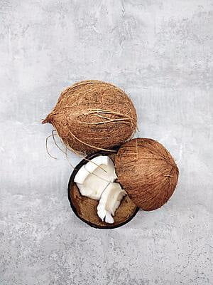 Coconut 1 pc.